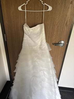 David's Bridal Gown